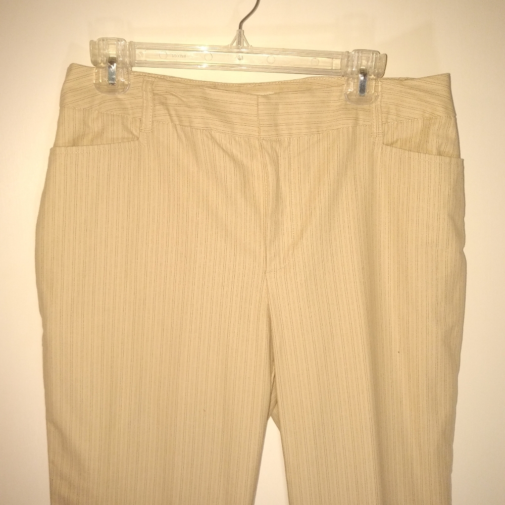 St. John's Bay stretch tan pants